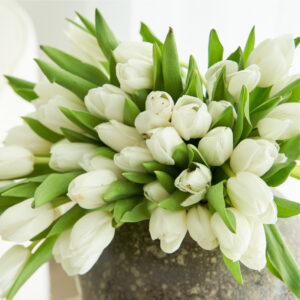 White Tulips